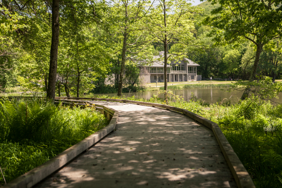 Peaks of Otter Lodge