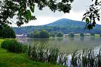 Peaks of Otter Lodge