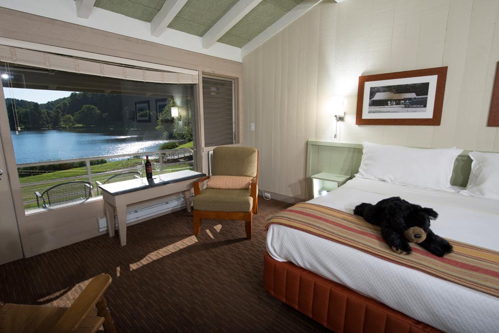 Peaks of Otter Lodge Room - One King