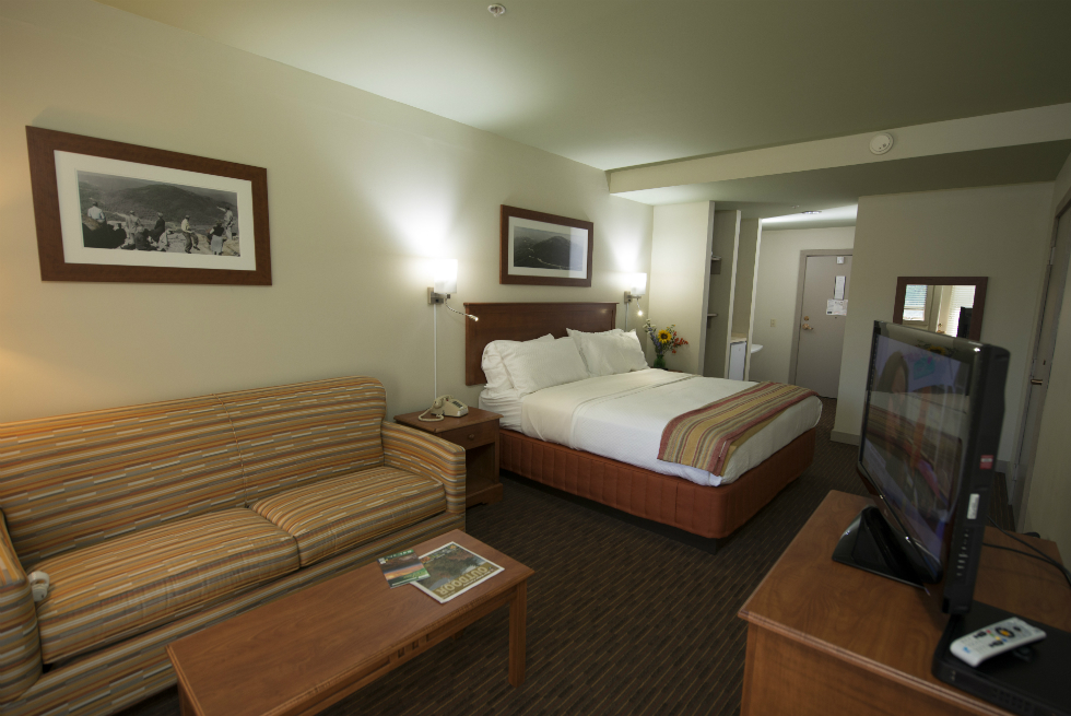 Peaks of Otter Lodge Room - One King Pull Out Sofa