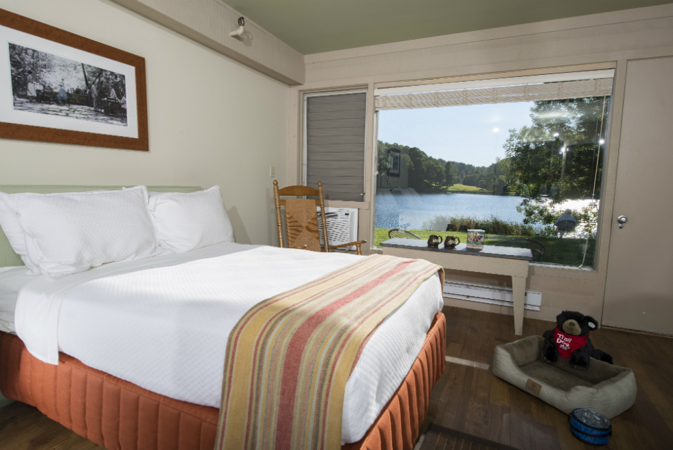 Peaks of Otter Lodge Room -  Pet Friendly