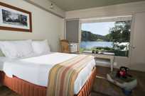 Peaks of Otter Lodge Room -  Pet Friendly