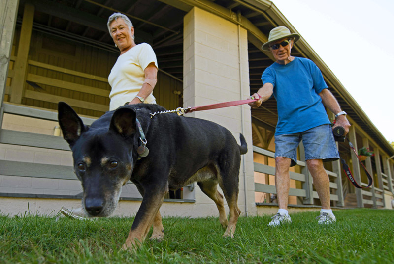 Pampered Pooch package at Peaks of Otter Lodge
