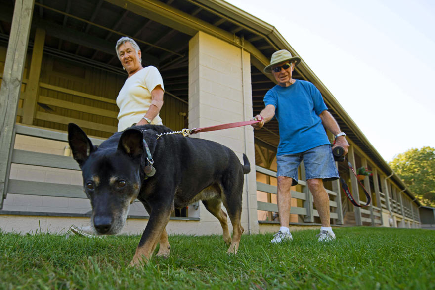 Pampered Pet package at Peaks of Otter Lodge